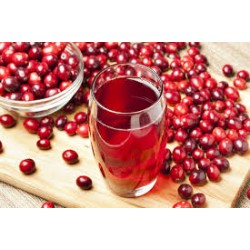 Yabani kızılcık suyu konsatresi