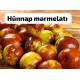 Organik Hünnap Marmelatı