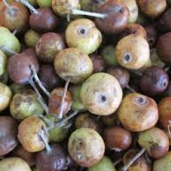 Ahlat Armut marmelatı (şekersiz)