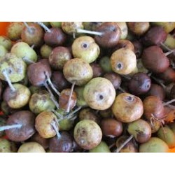 Ahlat Armut marmelatı (şekersiz)