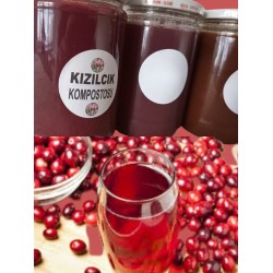 Yabani kızılcık suyu konsatresi