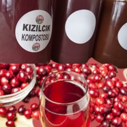 Yabani kızılcık suyu konsatresi